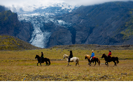 Riding with the Herd in Iceland 